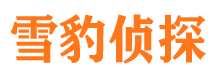 包河市调查取证